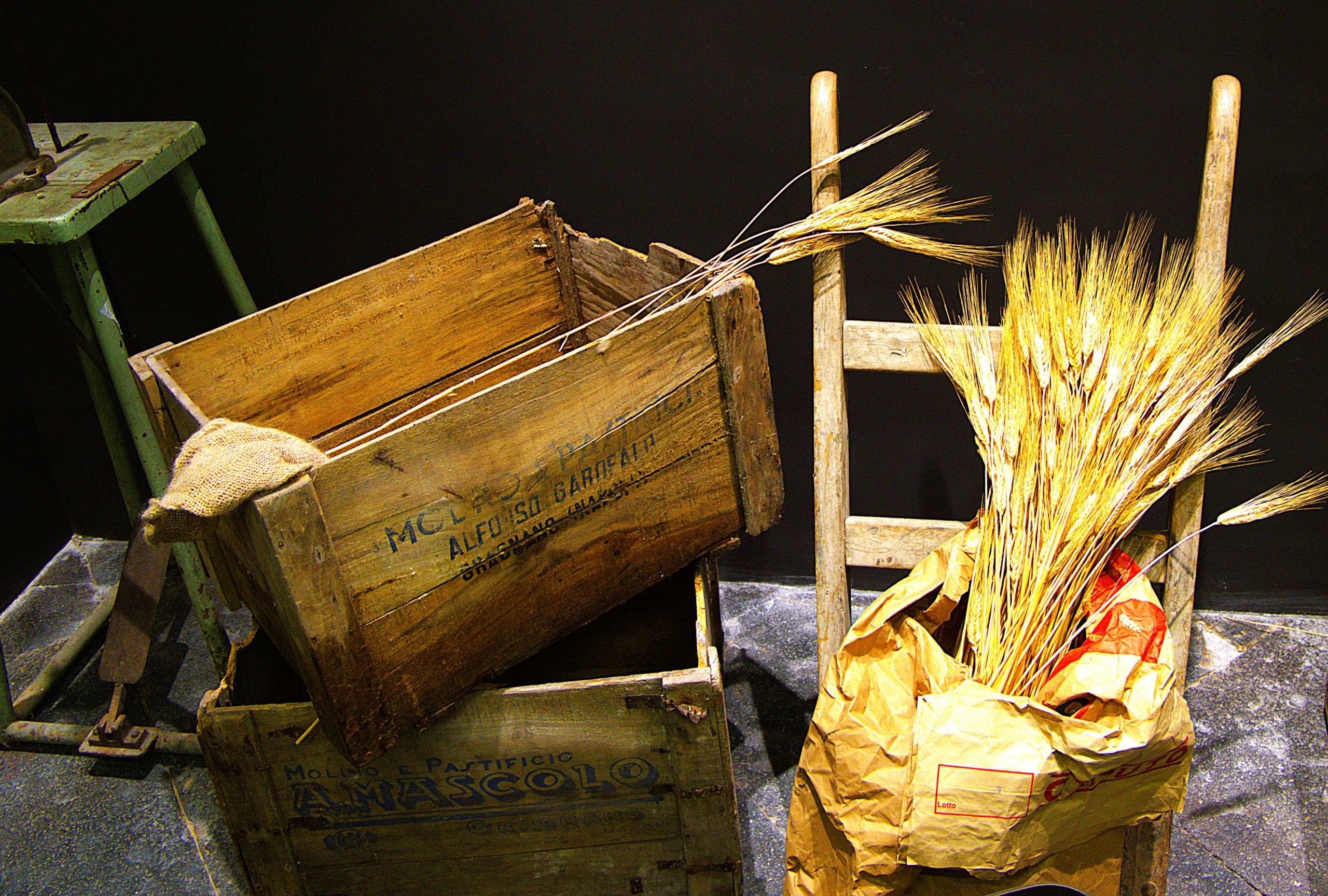 A Story Made of Pasta